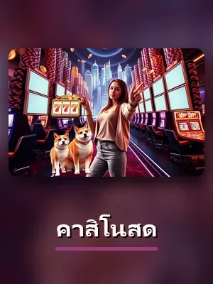 สตูดิโอคาสิโนสด sagame66 ภาพประกอบ